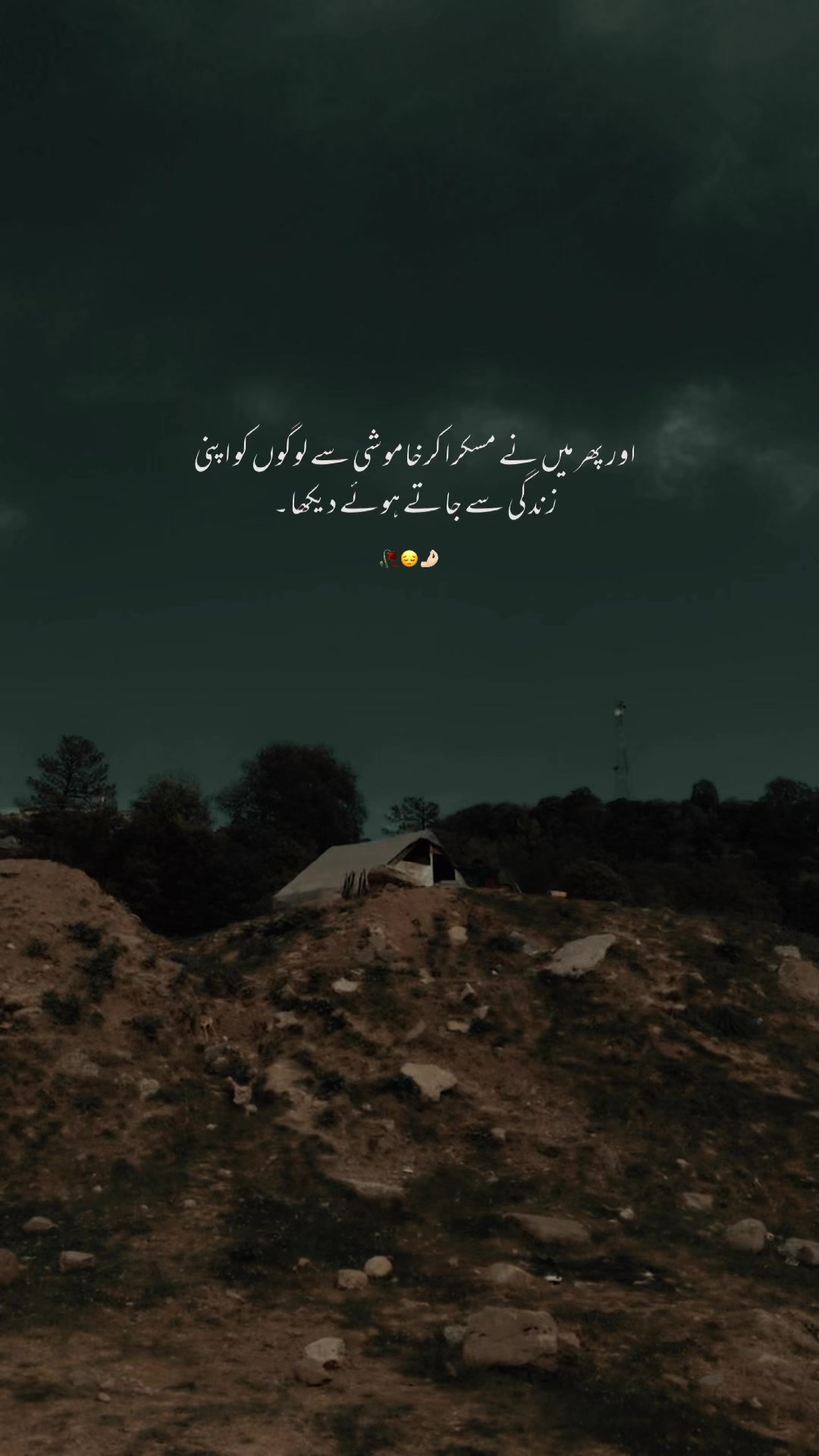 @👑~HaسNaiن~👑