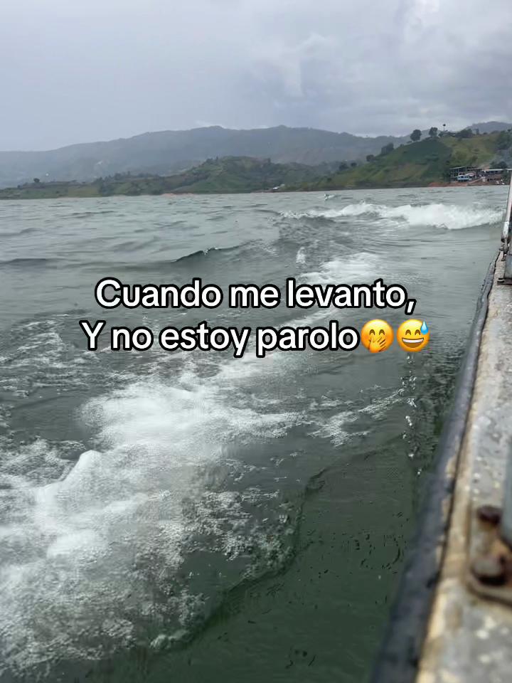 @flaco mi rey