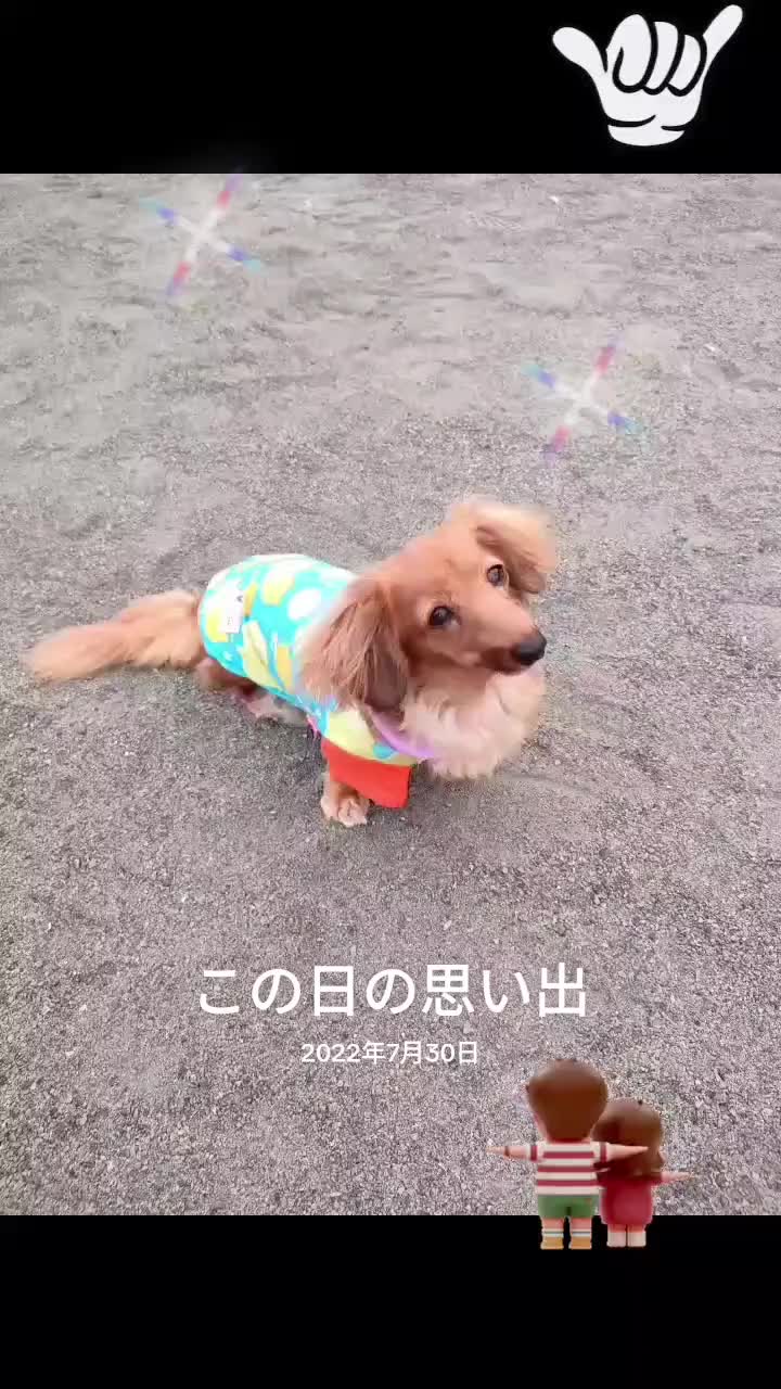 @ラムパパ