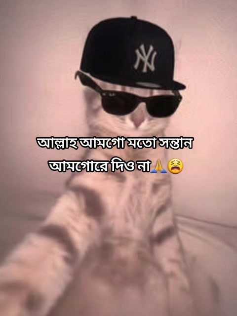 @Mᴀʀᴜғ Bɪʟʟᴀʜ 🌱