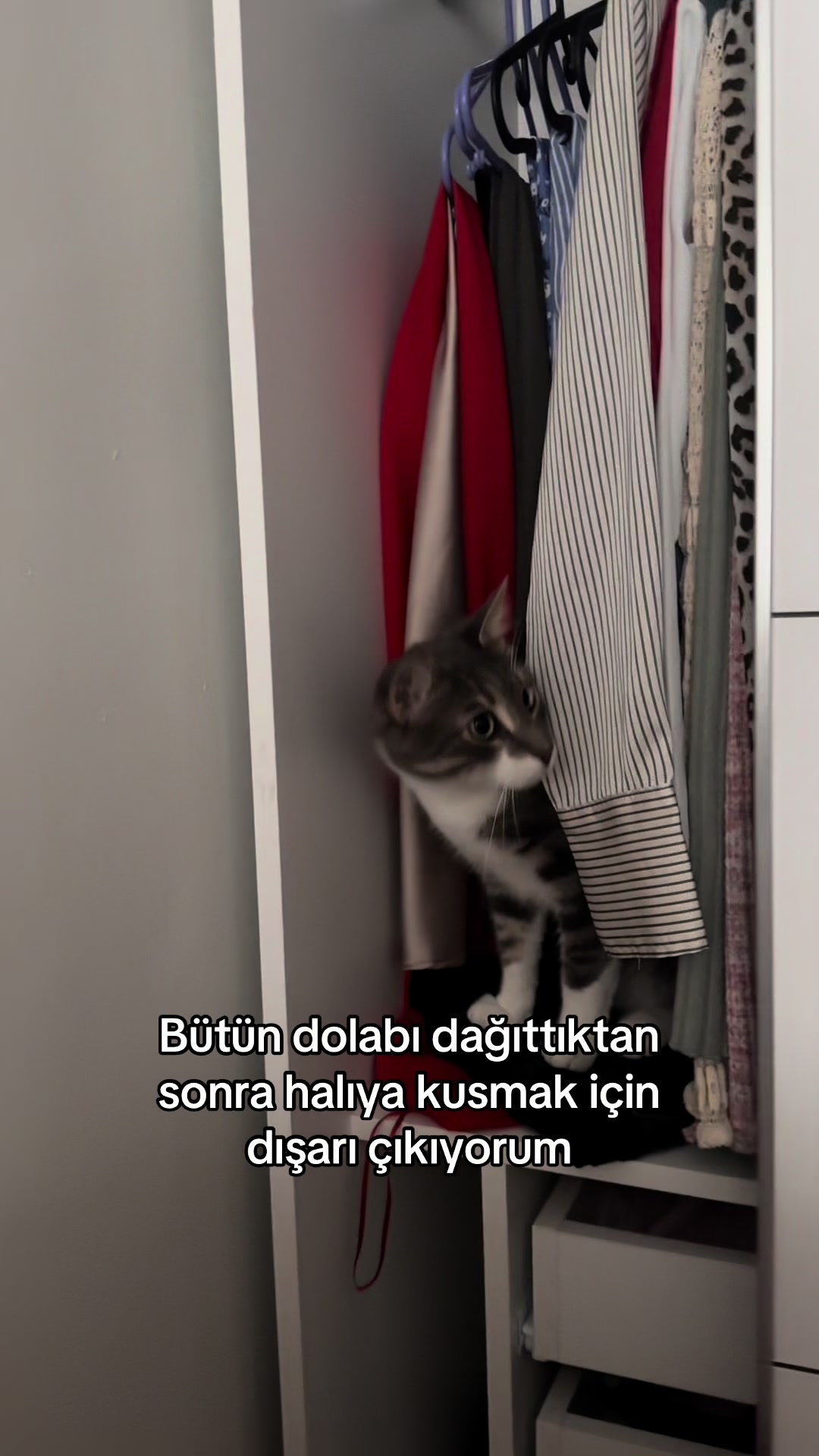 @konusankediminnos