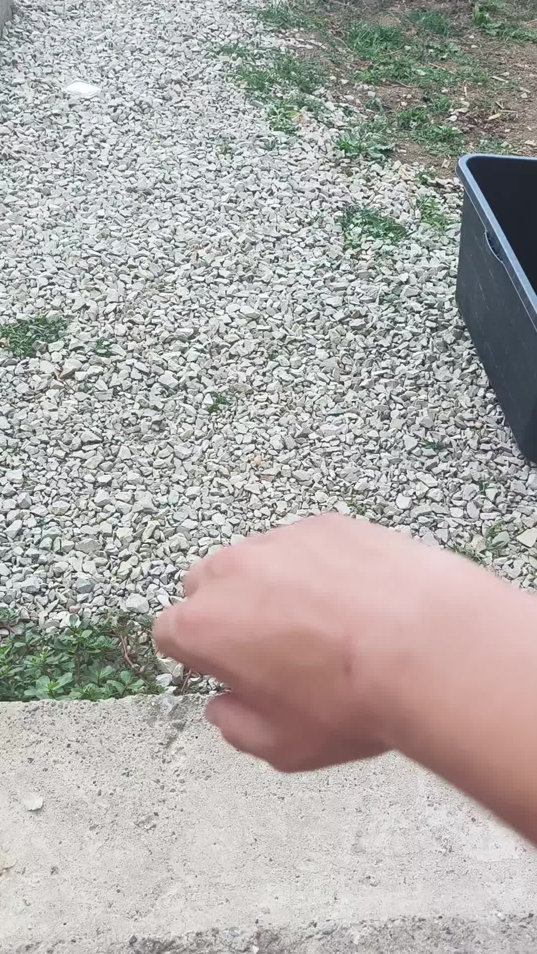 @собирашка