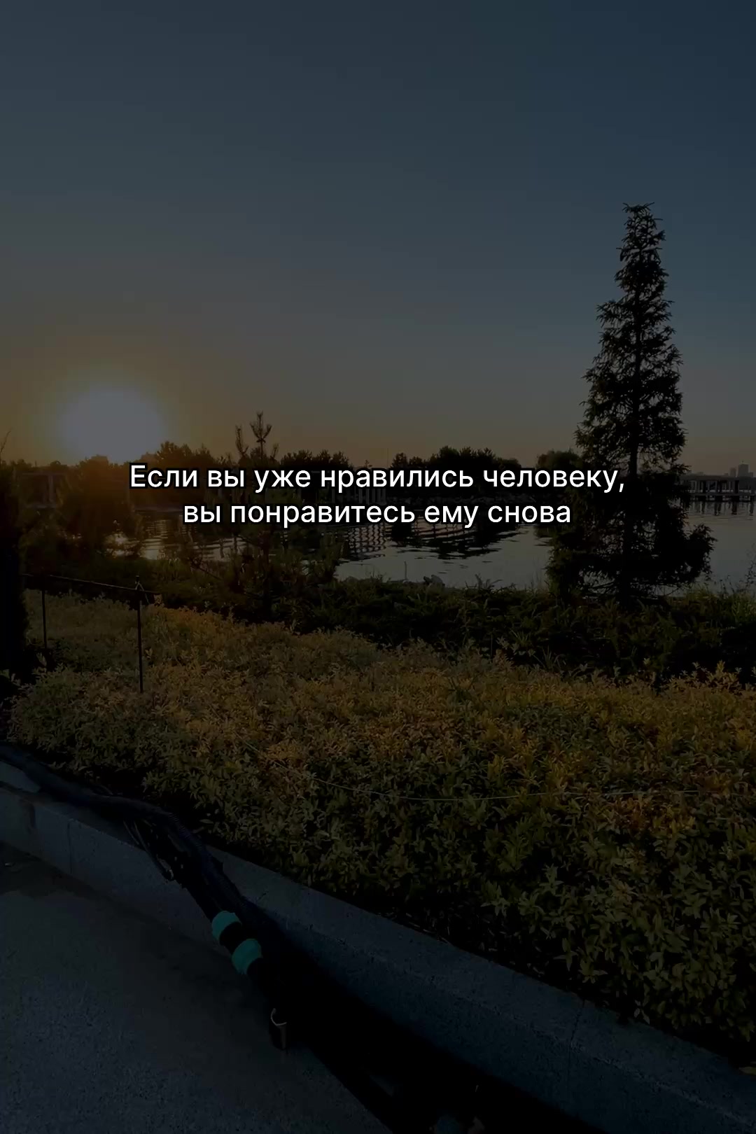 @003