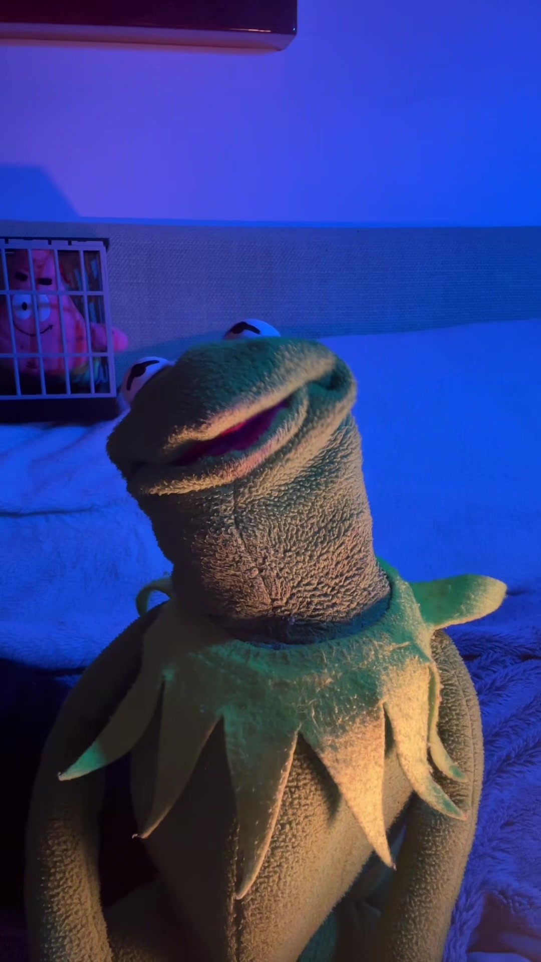 @🐸 Crashout Kermy 🐸