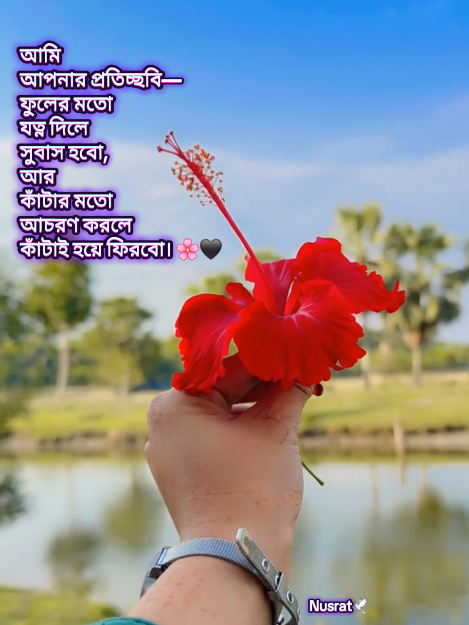 @👑⃟🦋 Nusrat🕊️👑⃟🦋