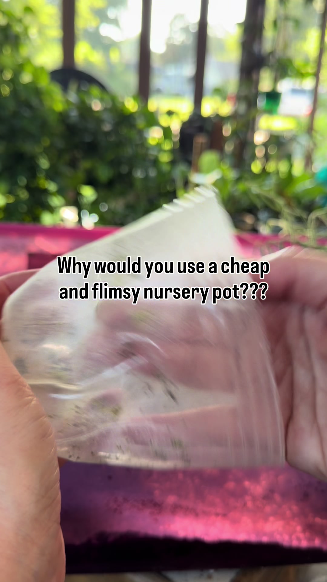 @Pothosiblyaboutplants