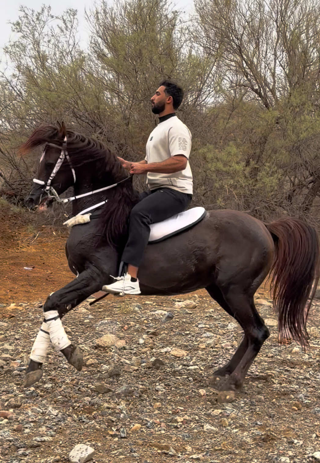 @بـاسـل الـوادعـي⭐️🐎