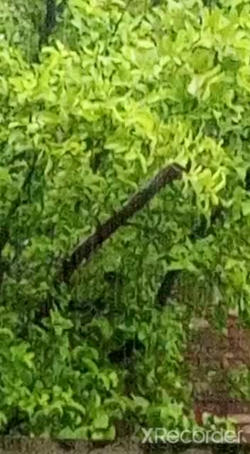 @MAHRANI KI DIARY🫶✨💅