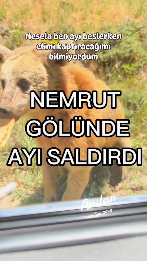 @doğa hayranı