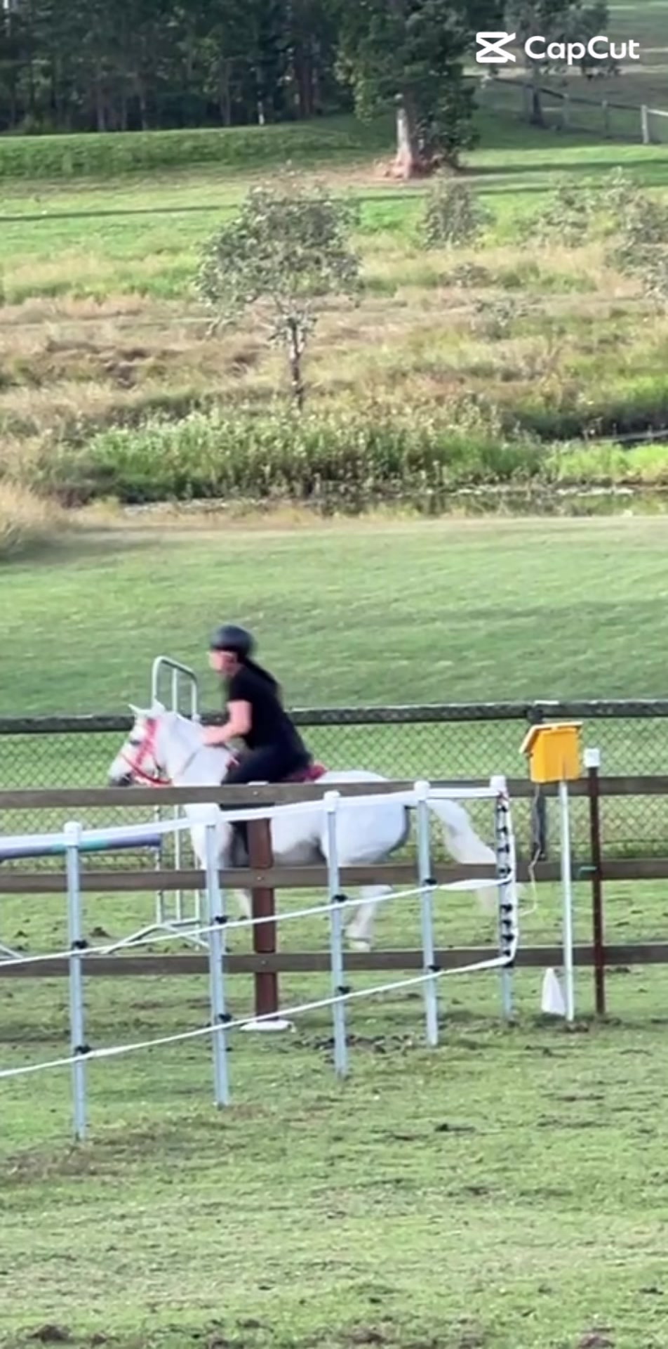 @Lola_is_my_pony