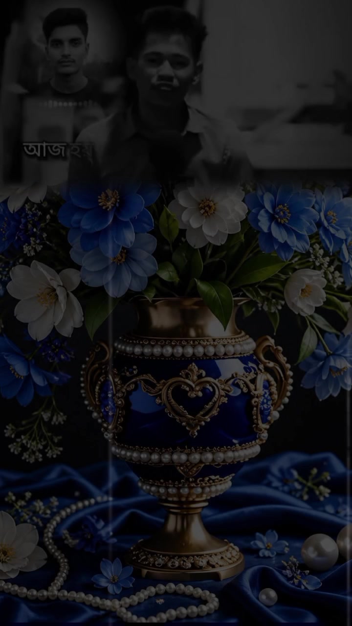 @নিঝুম রাতের তারা