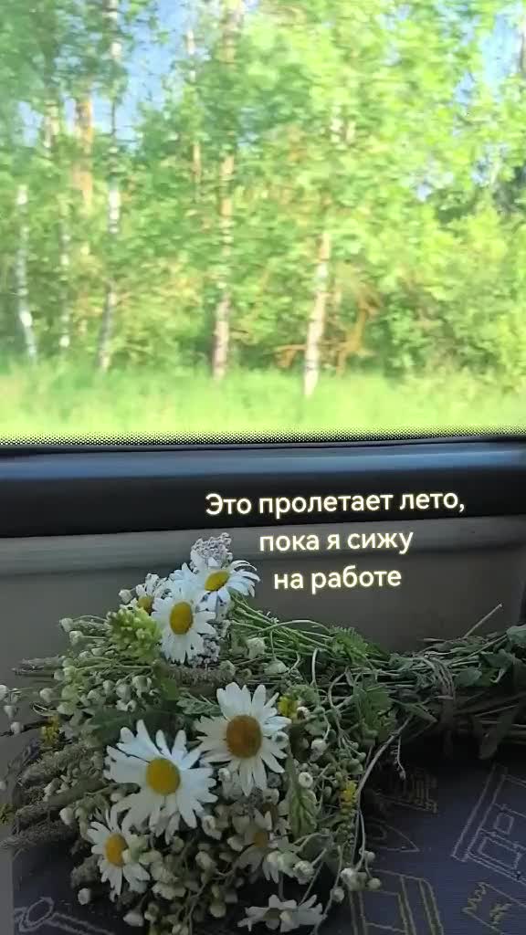 @Жулик на даче