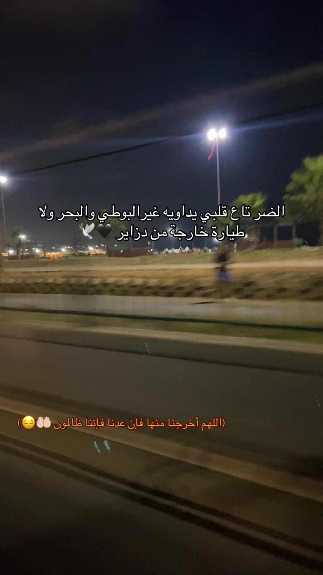 @🕊️