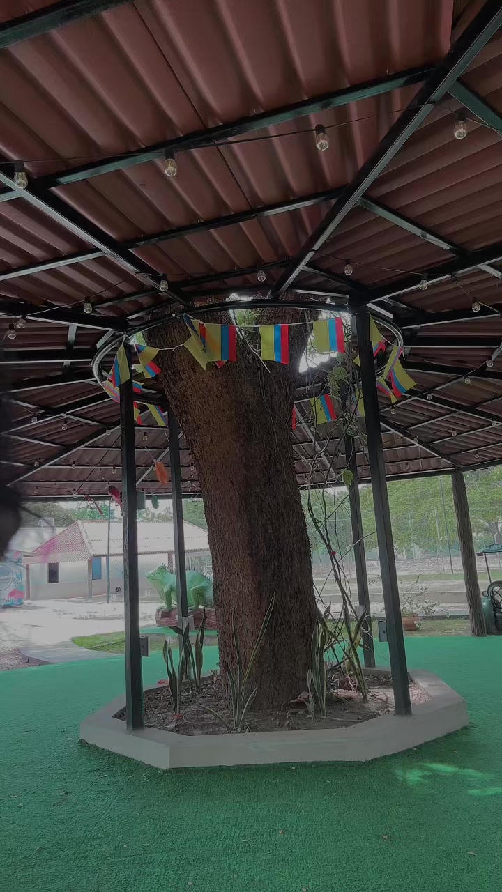 @🤎 11:11 🤎