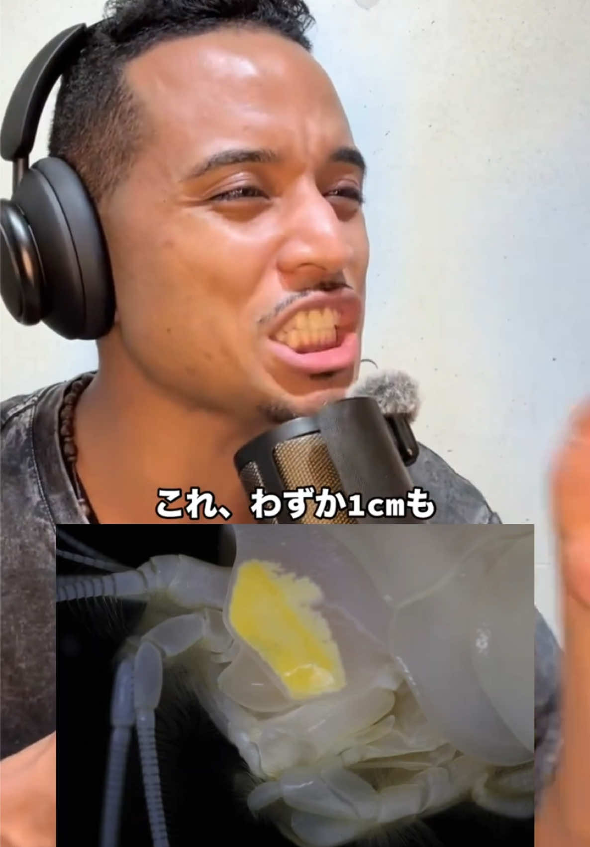 @ã±ã³ããªðŠâ¡ïžäžçã®æ·±æãéé·ð