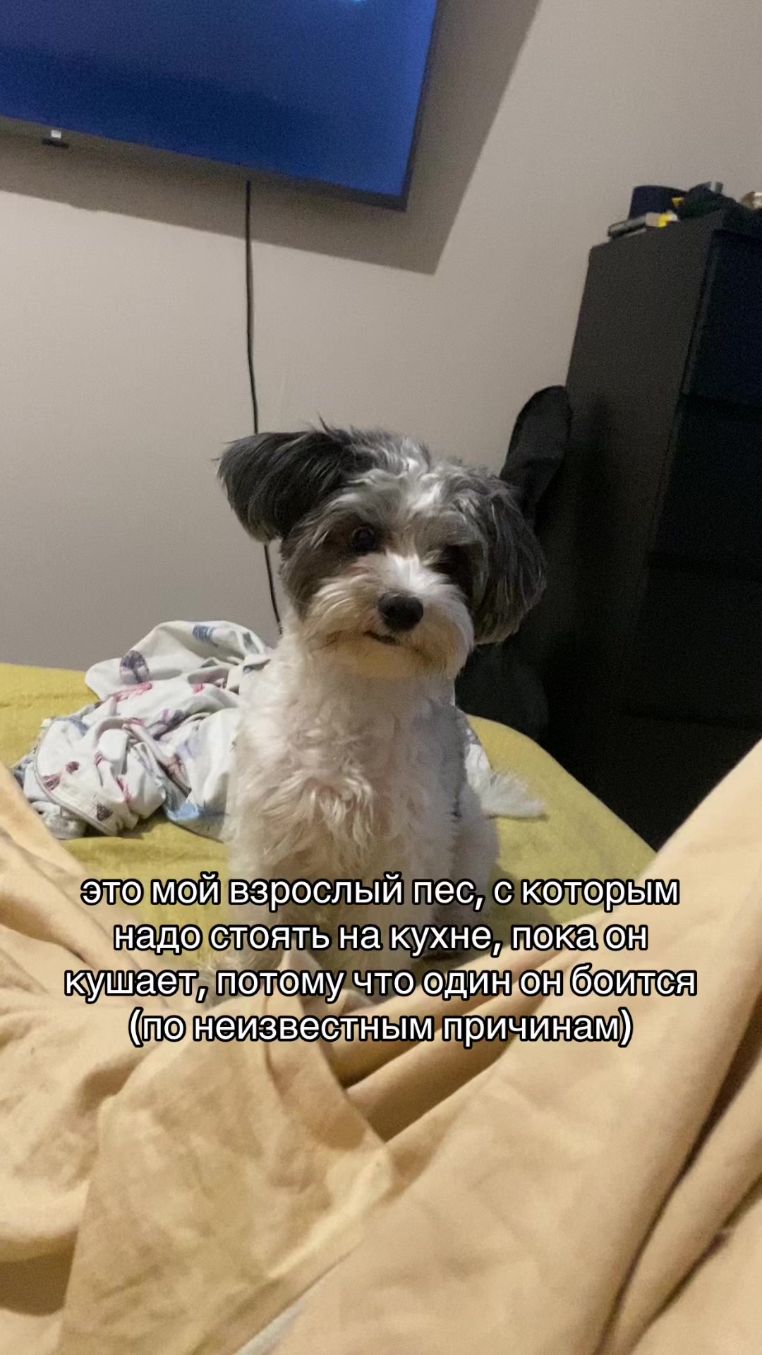 @ТГК:винчикова