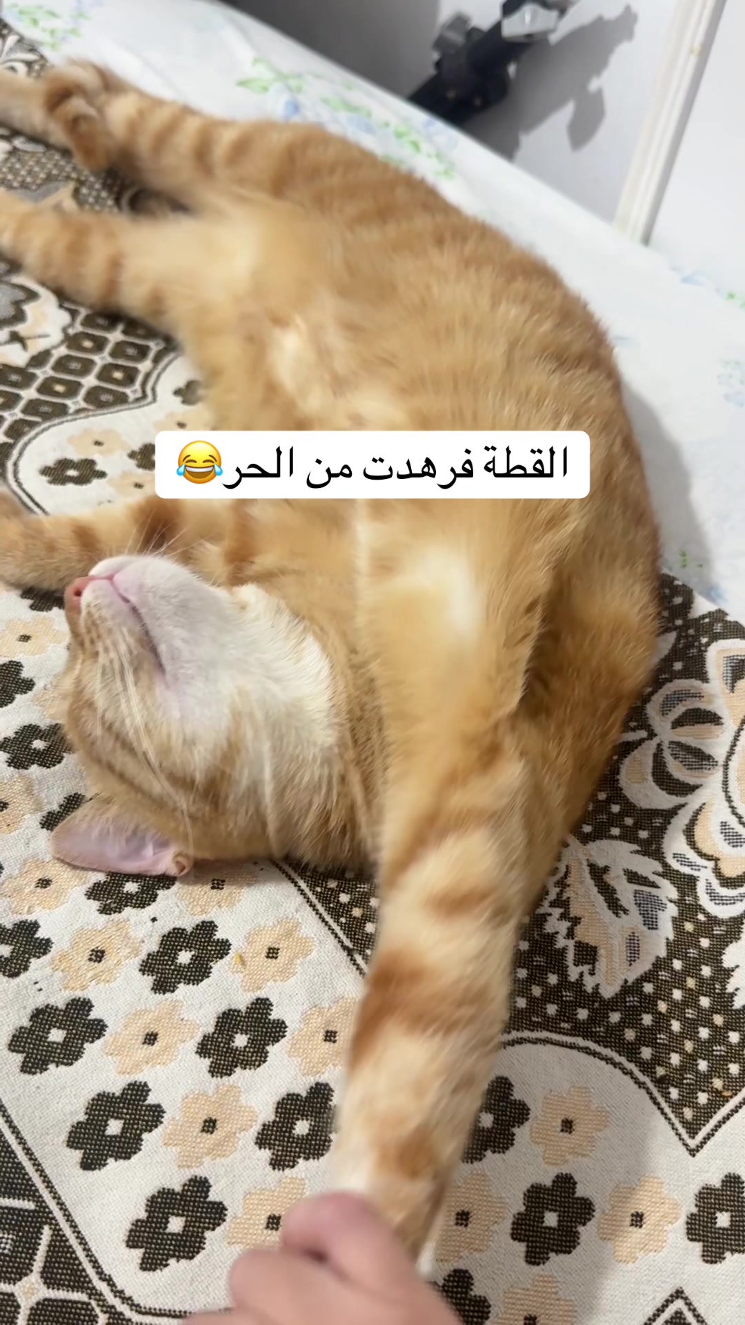 @NADA MAHMOUD