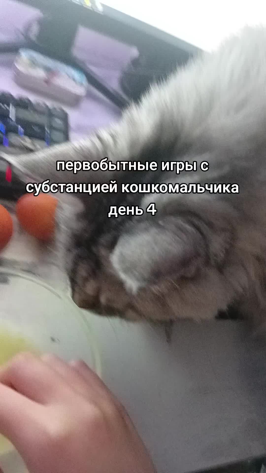 @rawchvrka14