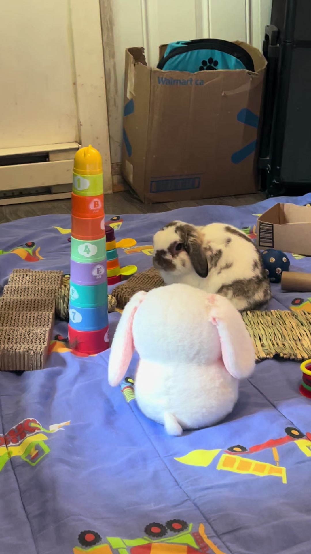 @Mrdivaandgizmoandfriends