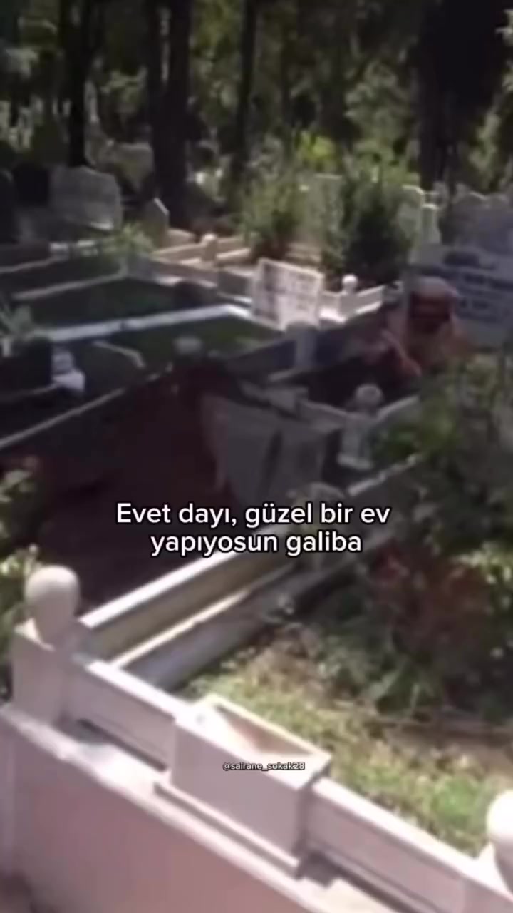 @aselim