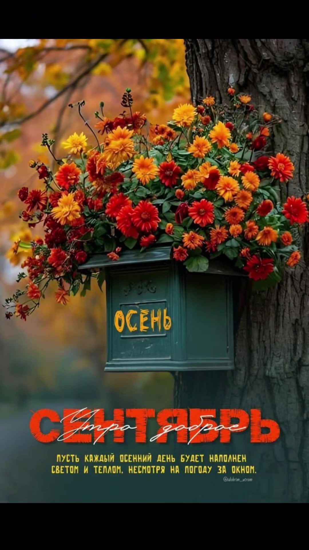 @🇧🇾 Елена 💞💞💞