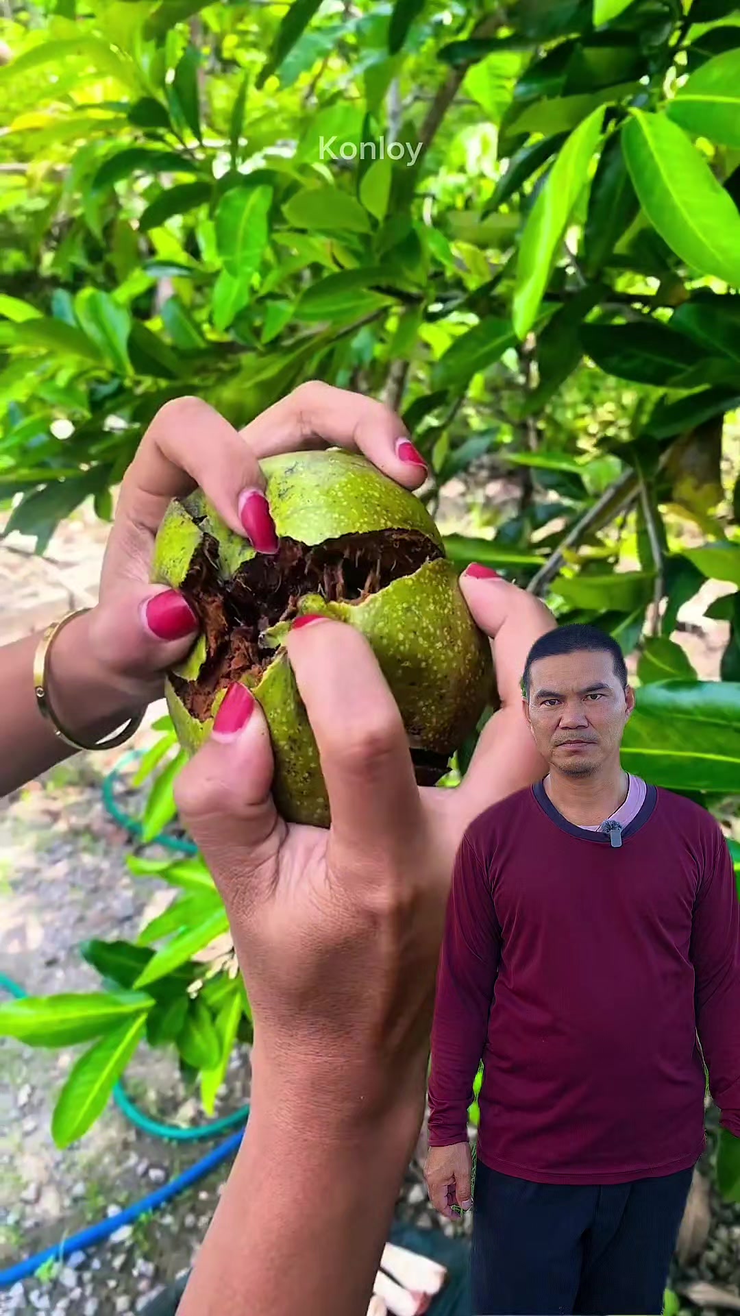 @Konloy