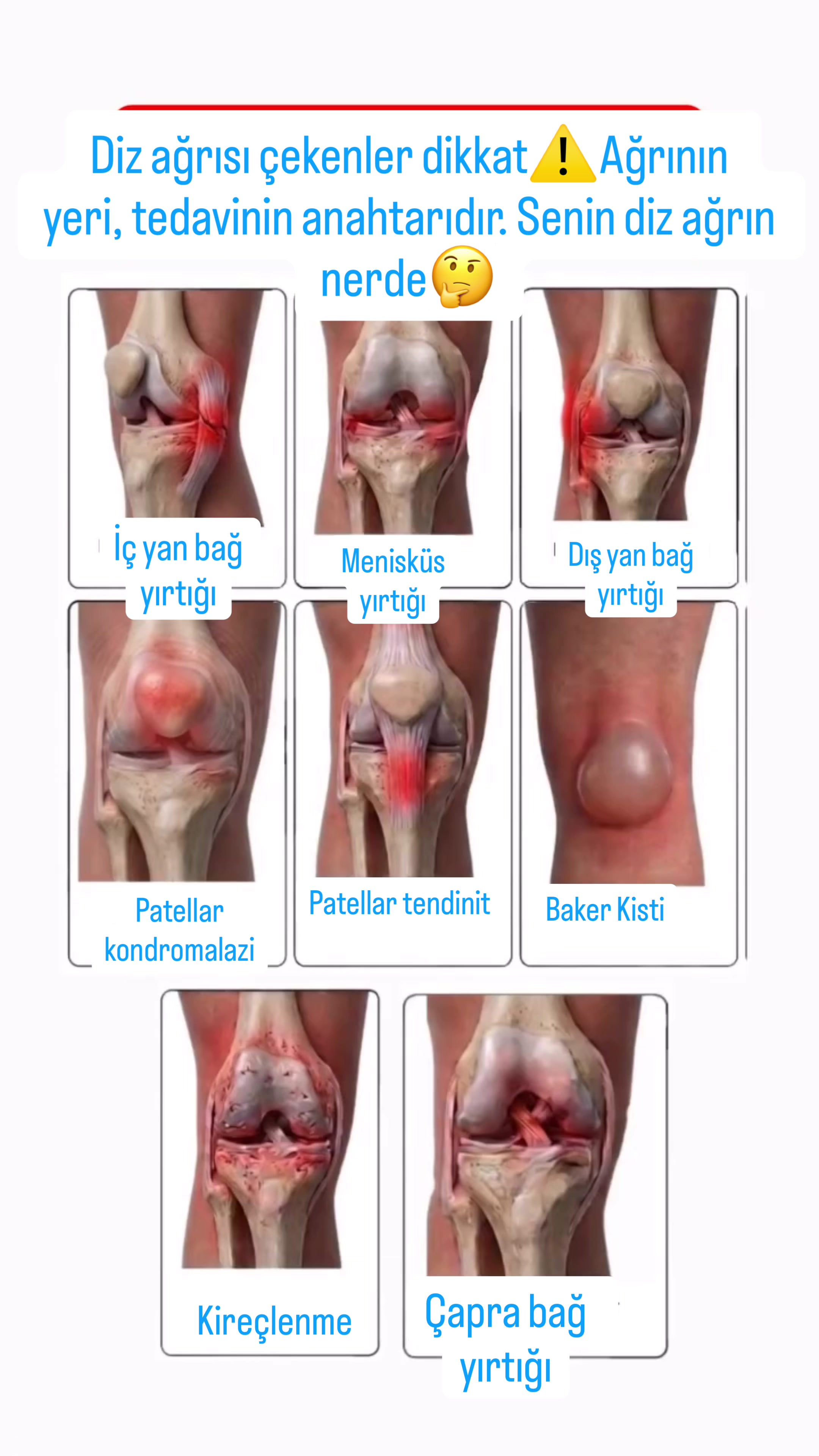 @Dr. Beşir Şahin İnceer