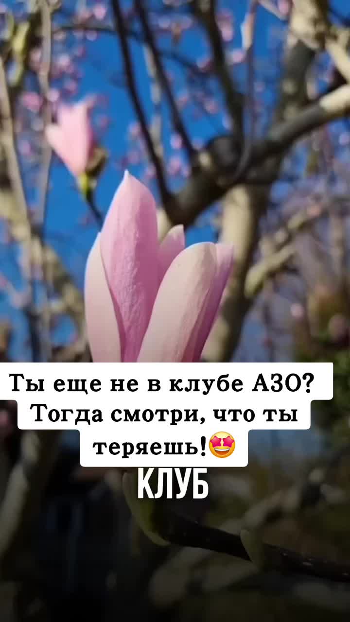 @ИРИНА КИМ
