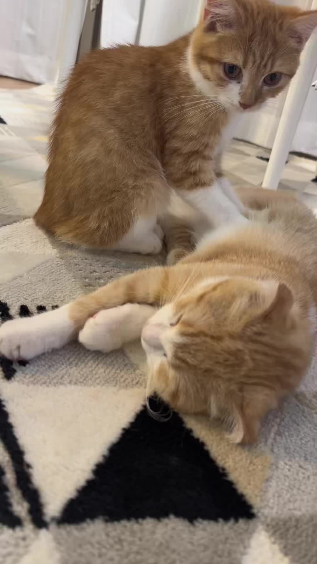 @マロン