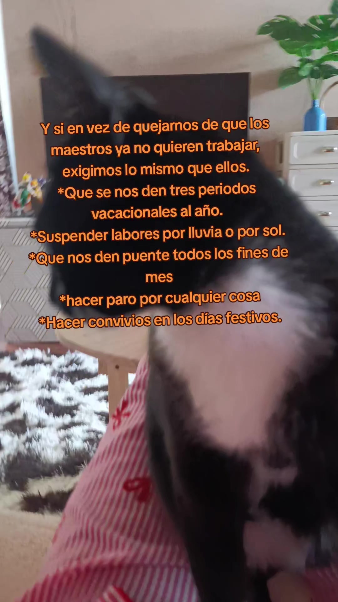 @ArelyHB