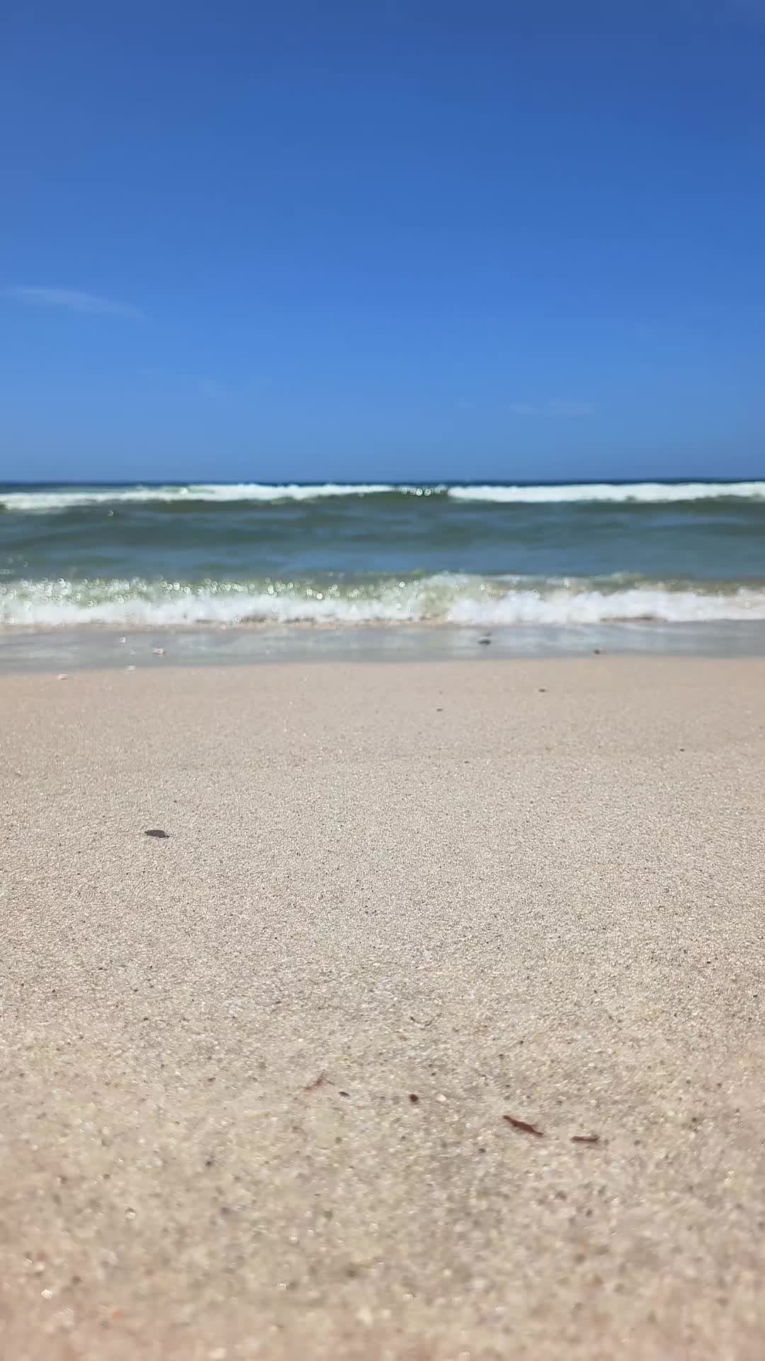 @AshleyChalet