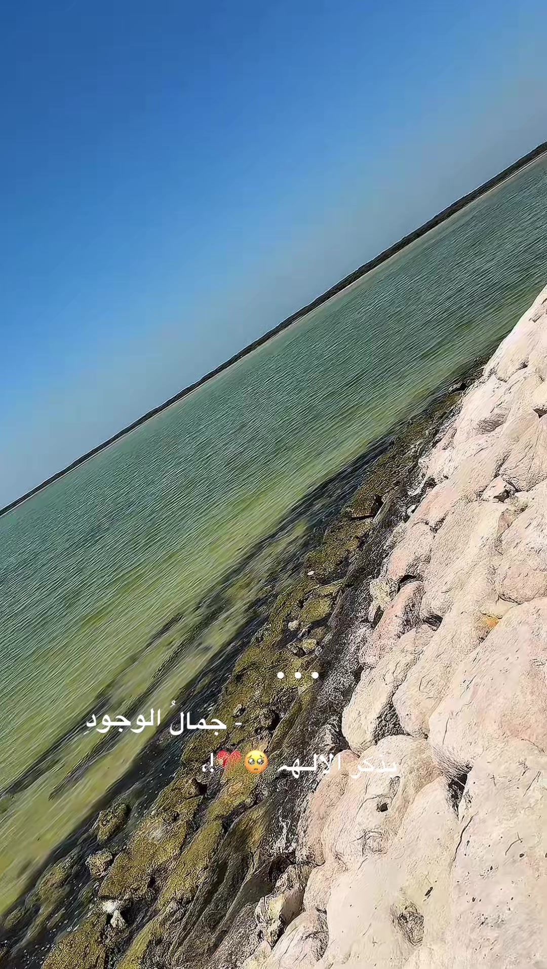 @ibrar khan 🫶