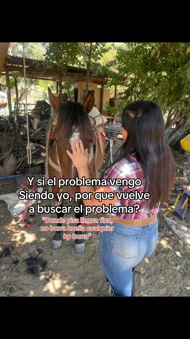 @francisca