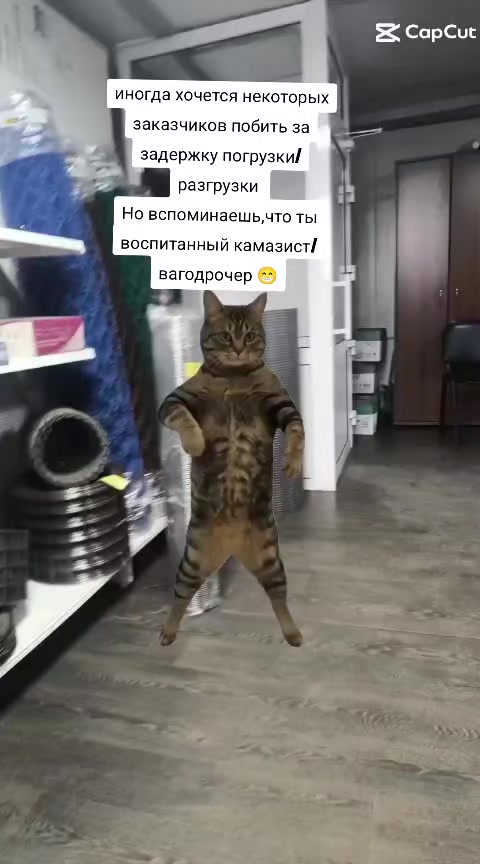 @Александер