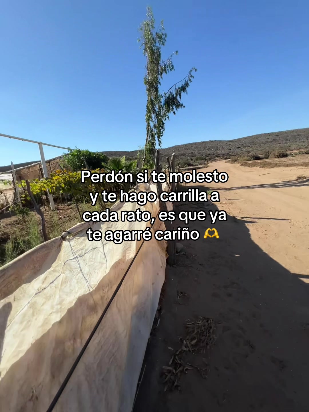 @jesusjp16
