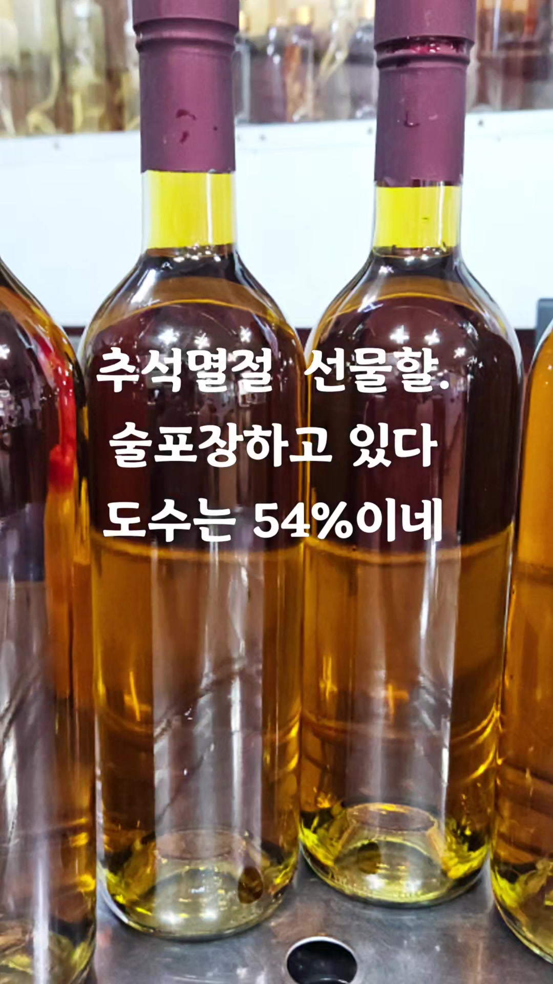 @🦜밀면 막끌리네🦜