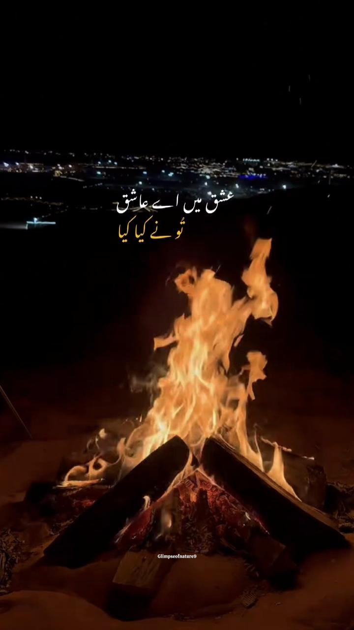 @Amna Mir❥
