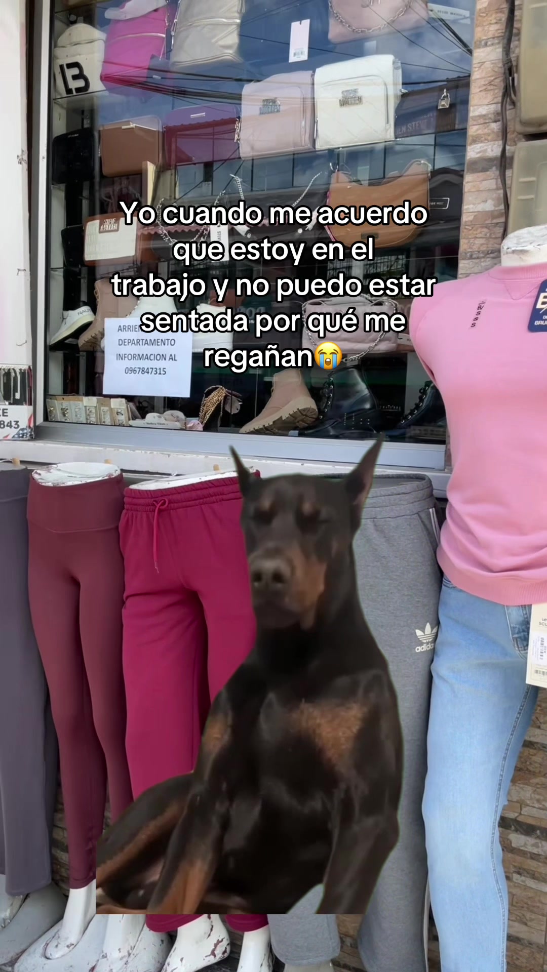 @El Toke_Shop