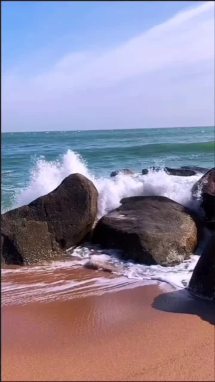 @@#🧬marcia_