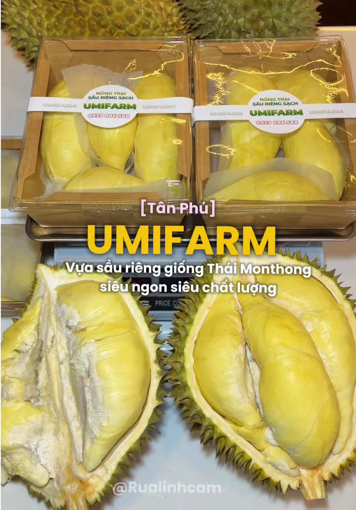 @Rùa Linh Cảm 🐢