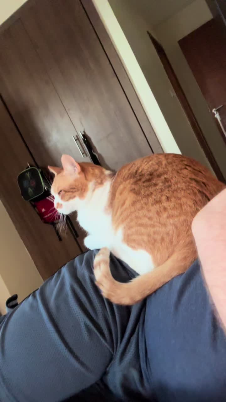 @Father5cats