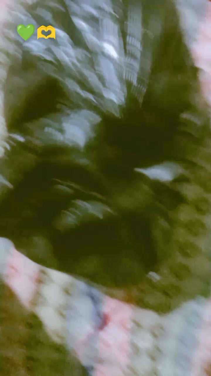 @Jyoti Rajbhar❤️ D🫰R