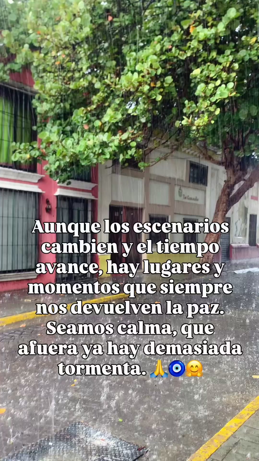 @Isabel Rond&oacute;n