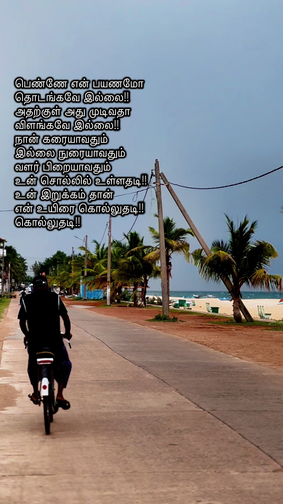 @nifrasabry
