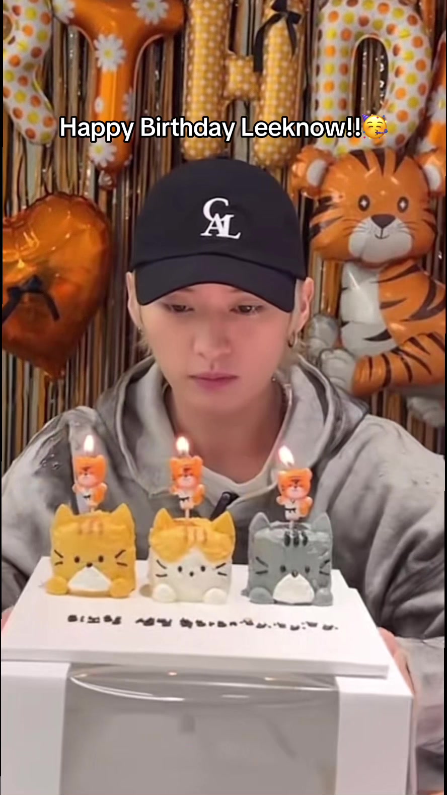 @straykidsloverfan84