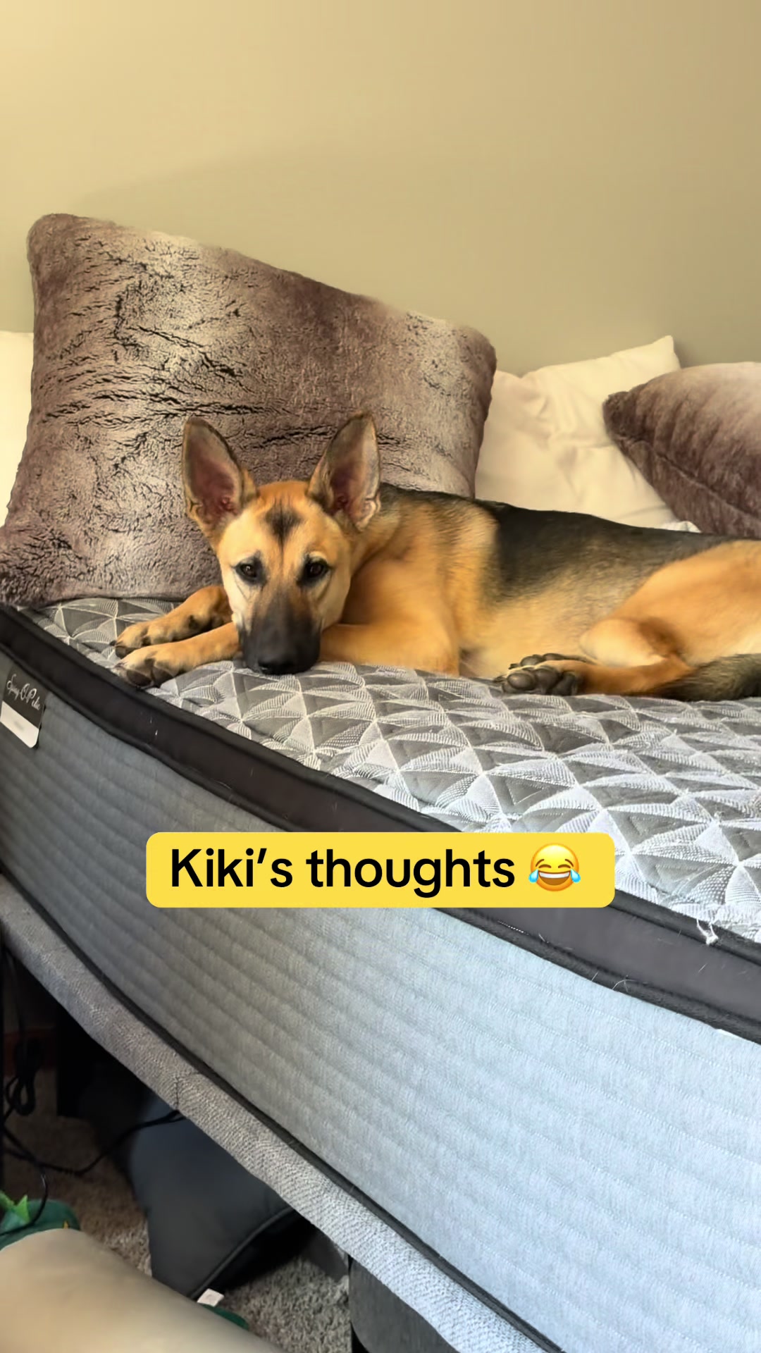 @Kiki.GSD