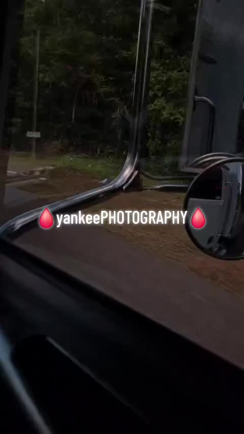 @yankee