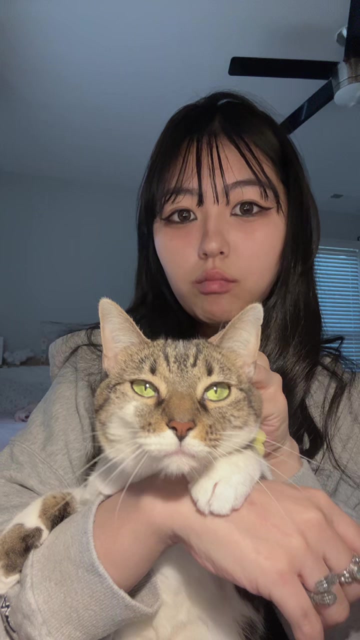 @๐ ๐ซ๐๐๐ | ใทใ
