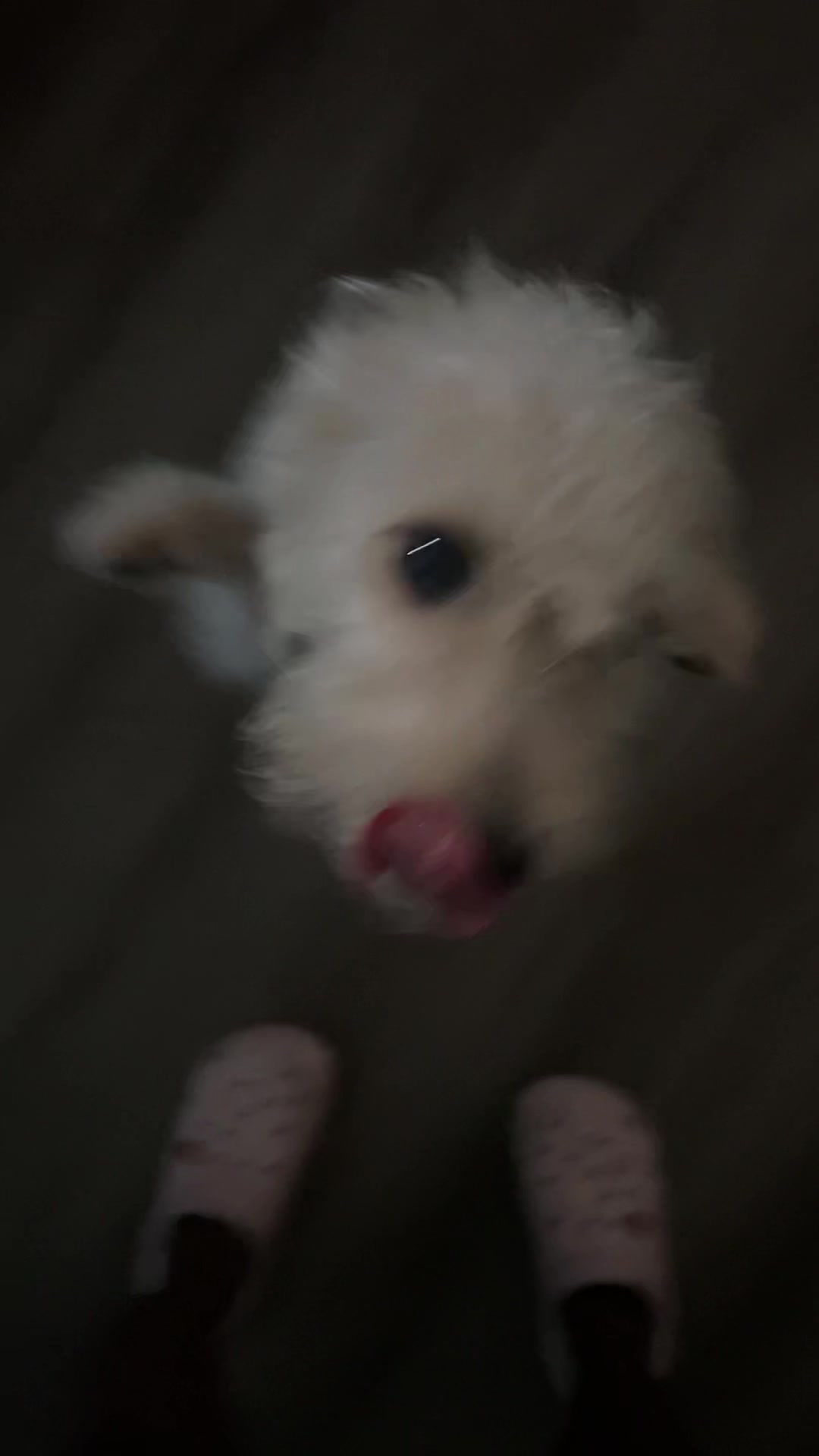@TheCyb3rCh1ck