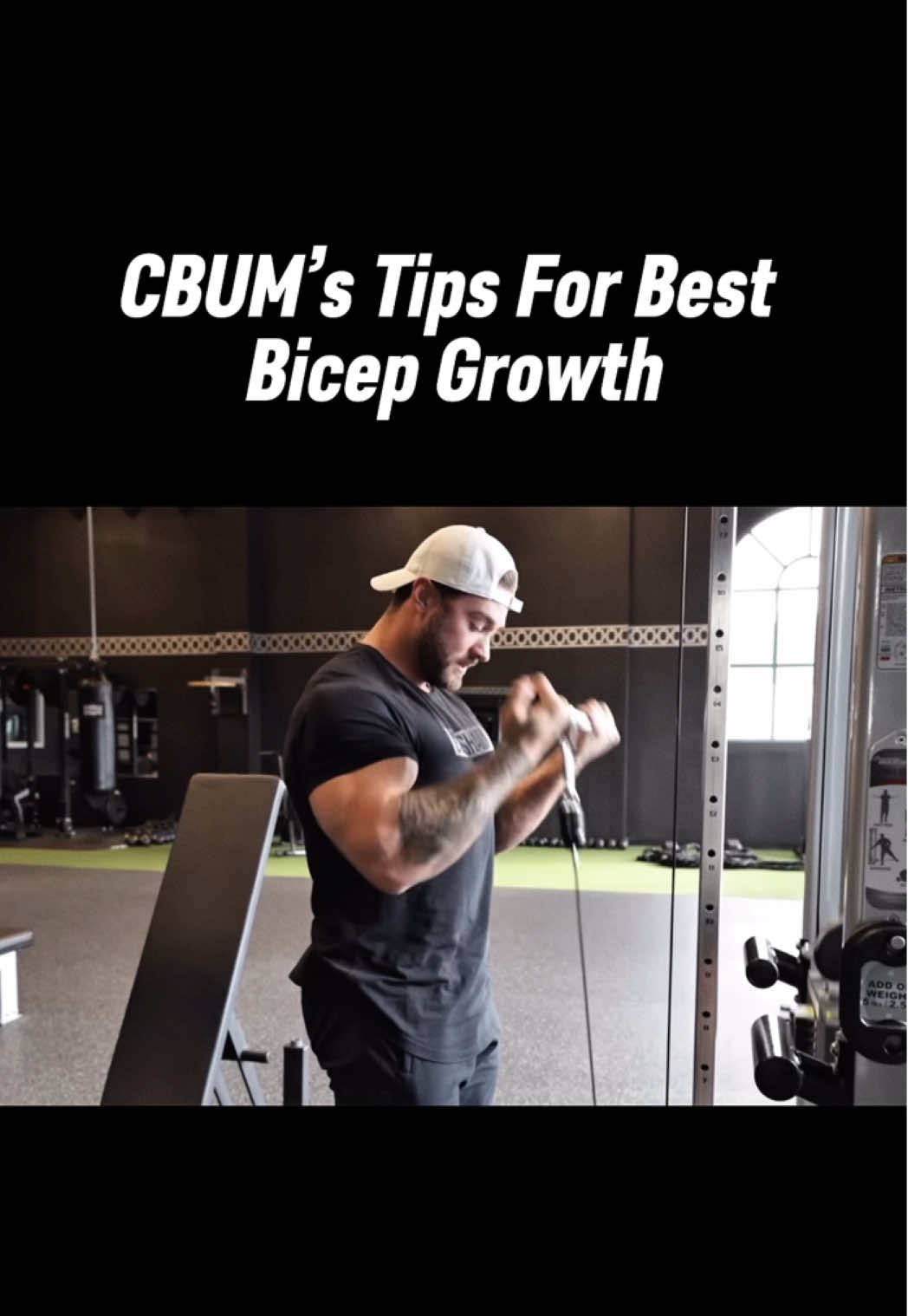 @theschoolofgains